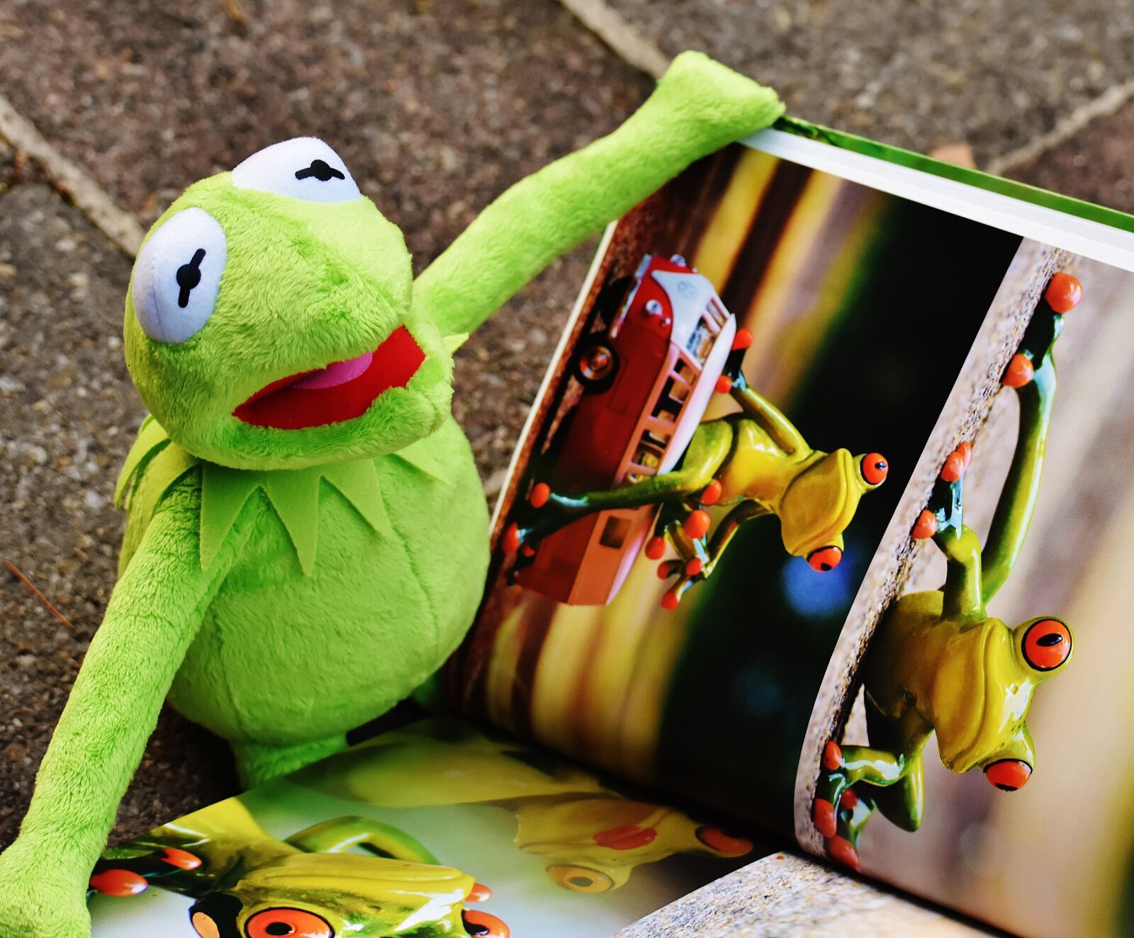 Nikon D7200 sample photo. Kermit, book, picture book photography