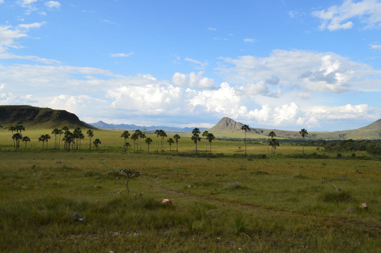 Nikon D3200 sample photo. Chapada dos veadeiros, brazil photography