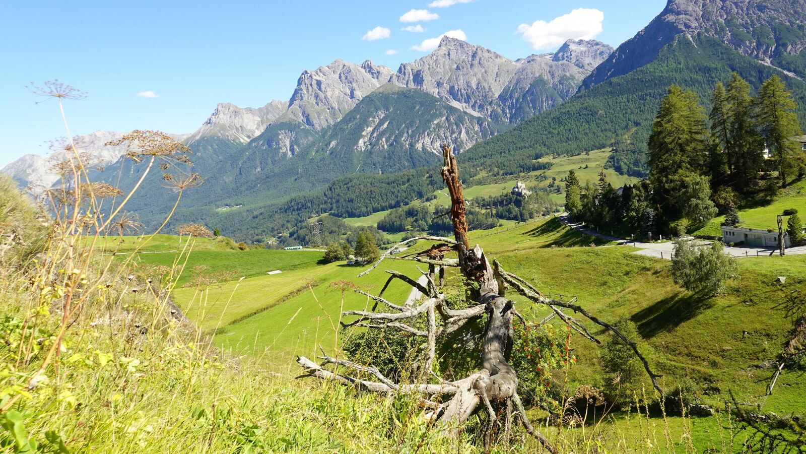 Sony DSC-RX100M7 sample photo. Mountains, wood root, landscape photography