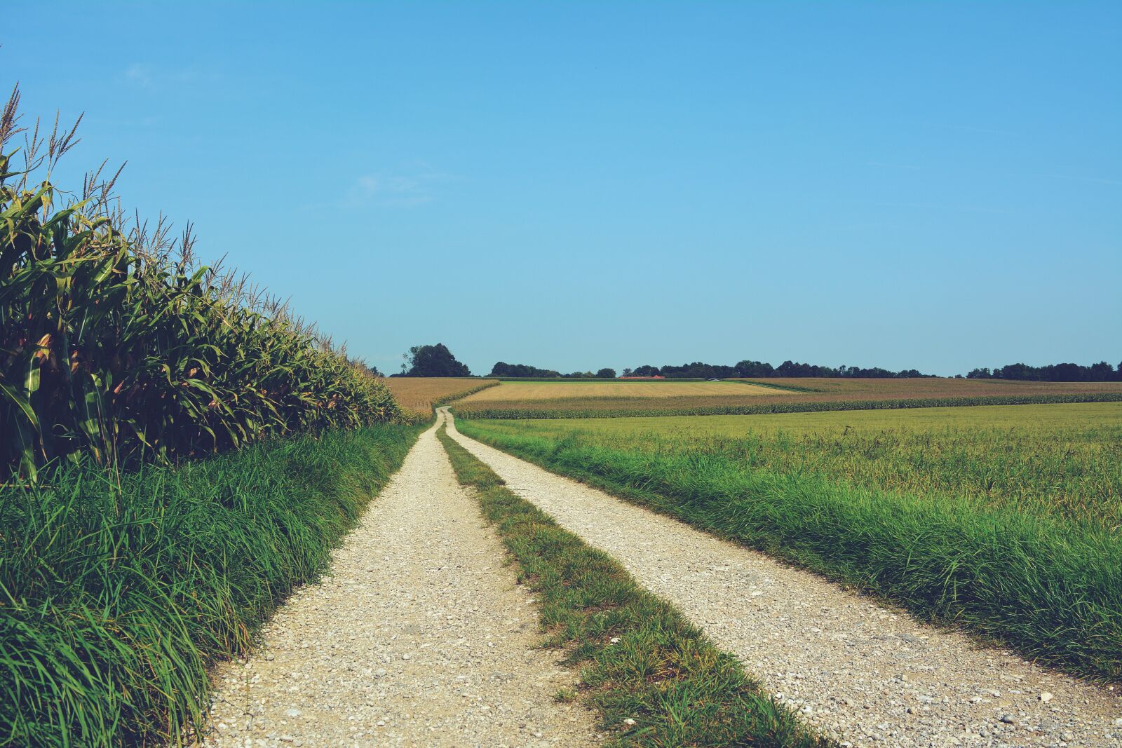 Nikon D5200 sample photo. Fields, path, blue skies photography