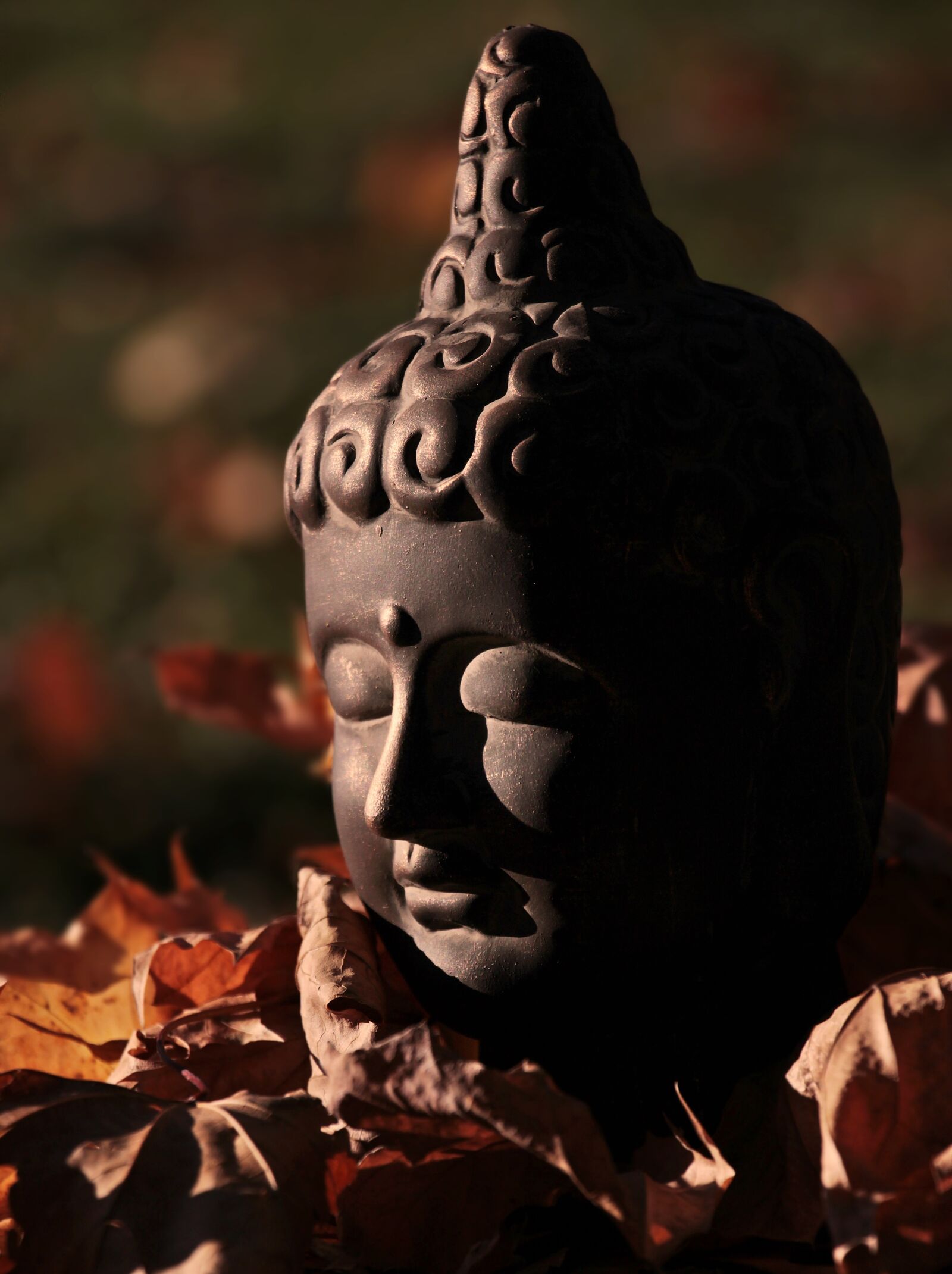 Canon EOS 100D (EOS Rebel SL1 / EOS Kiss X7) sample photo. Buddha, buddha figure, head photography