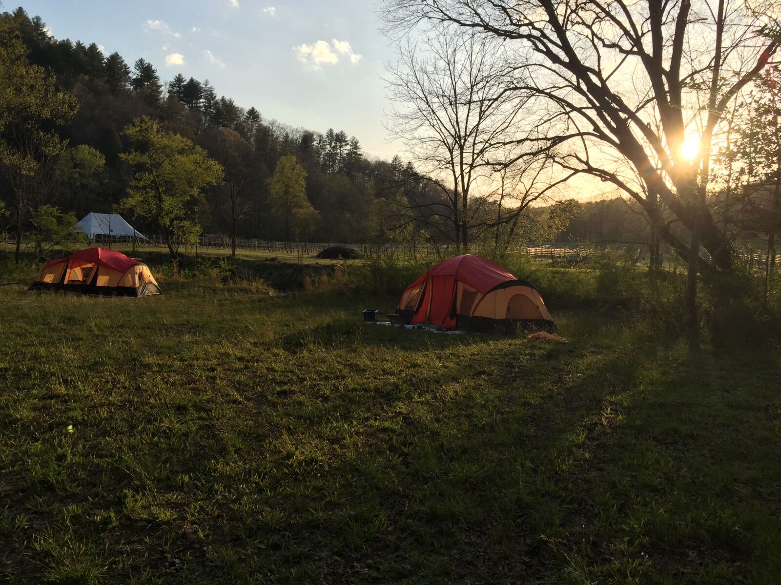 iPhone 6 back camera 4.15mm f/2.2 sample photo. Camping, tent, outdoors photography