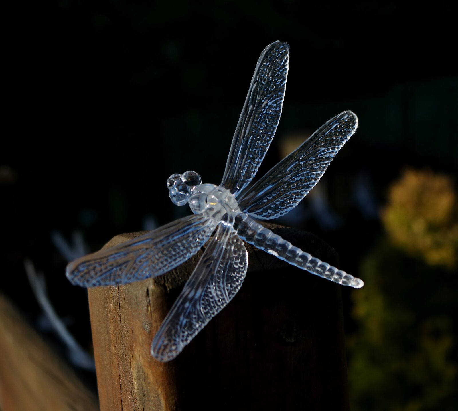 Canon EOS 750D (EOS Rebel T6i / EOS Kiss X8i) sample photo. Dragon fly, solar light photography