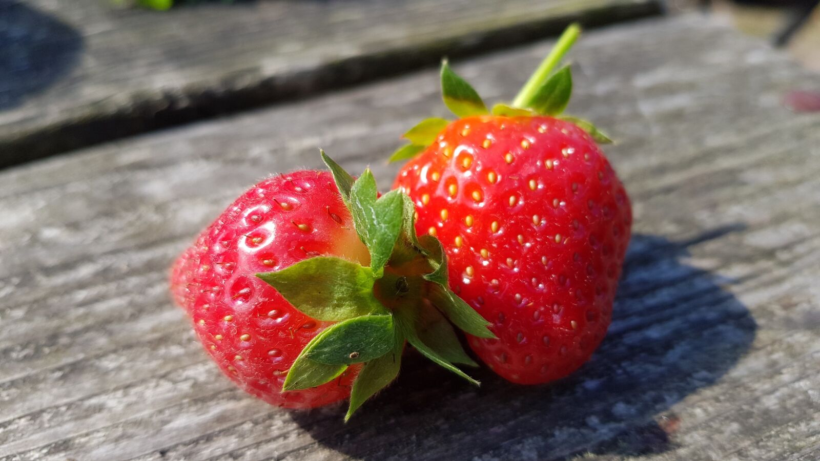 Samsung Galaxy S8 sample photo. Strawberries, fruits, fruit photography