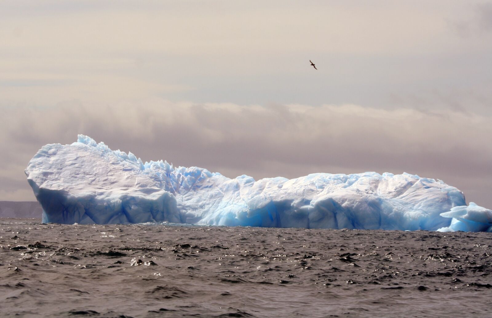 Canon EOS 350D (EOS Digital Rebel XT / EOS Kiss Digital N) sample photo. Iceberg, antarctica, ice photography