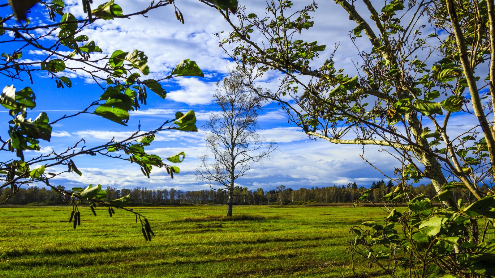 Canon EOS 650D (EOS Rebel T4i / EOS Kiss X6i) sample photo. Spring lake, bad buchau photography