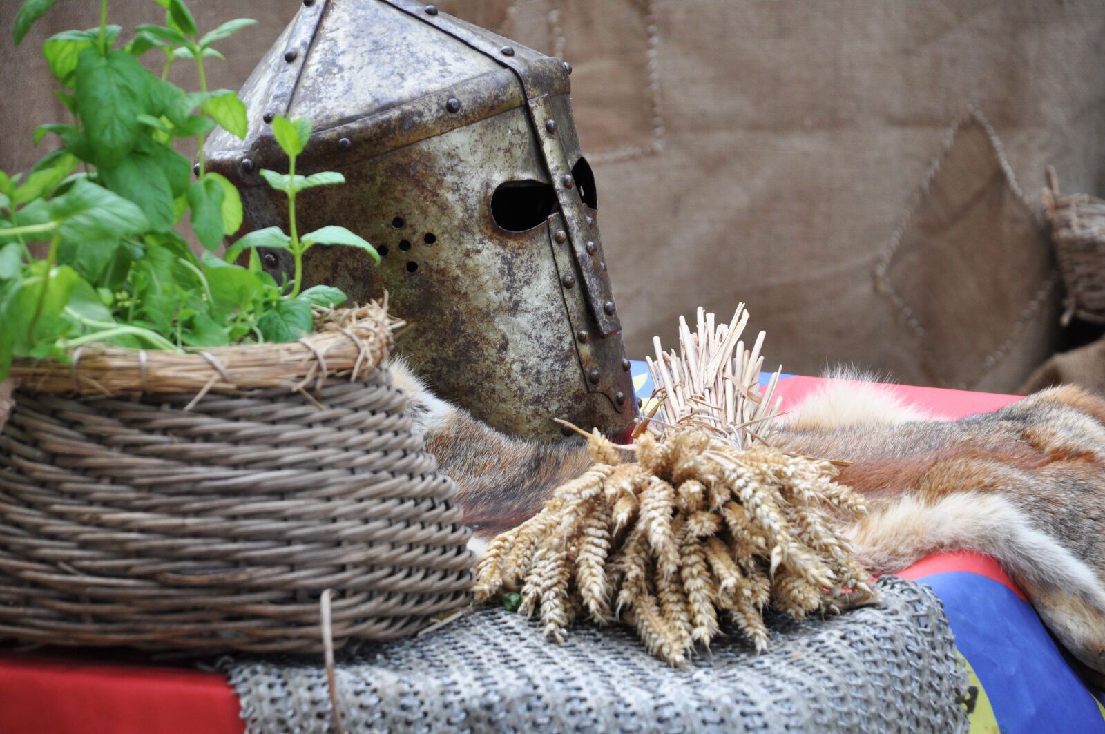 Nikon D90 sample photo. Knight, armor, helmet photography