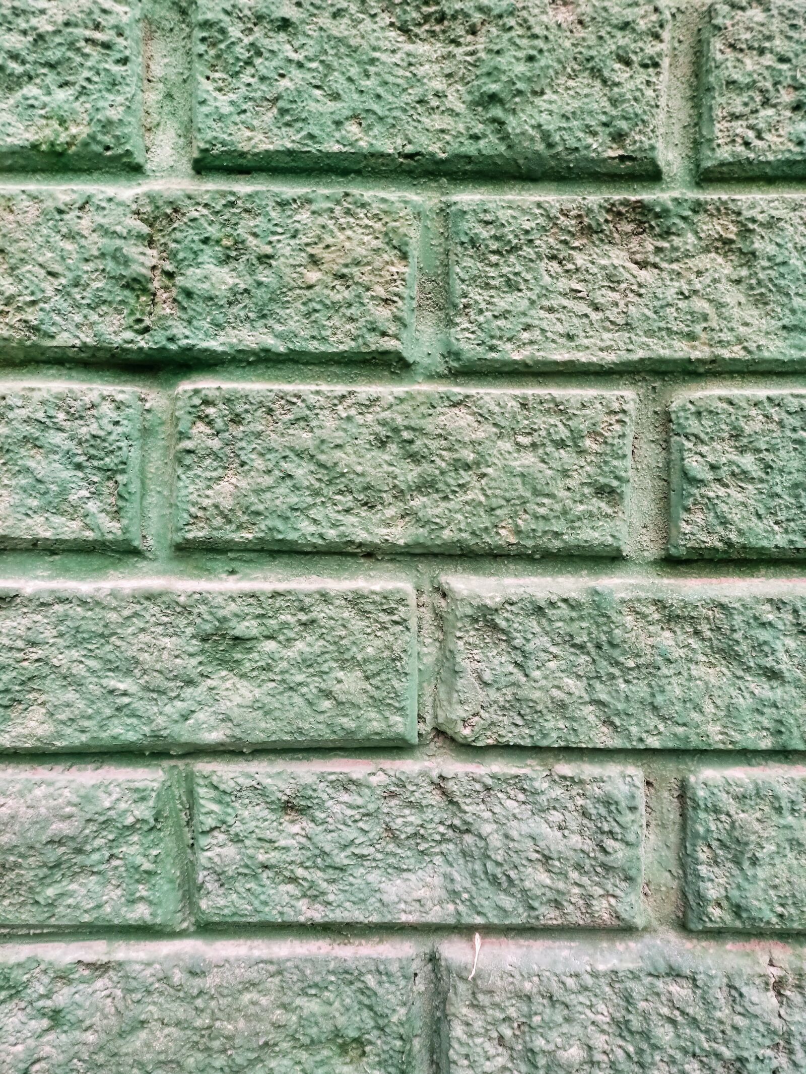 Xiaomi Redmi Note 8 Pro sample photo. Green, brick, texture photography