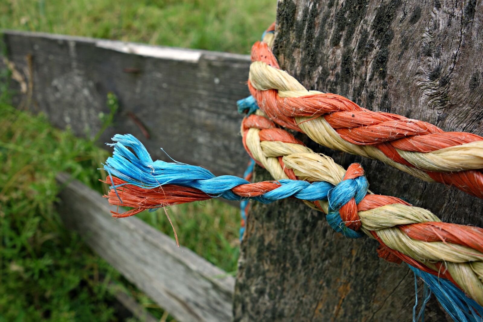 Sony Cyber-shot DSC-RX100 sample photo. Knot, rope, tied photography