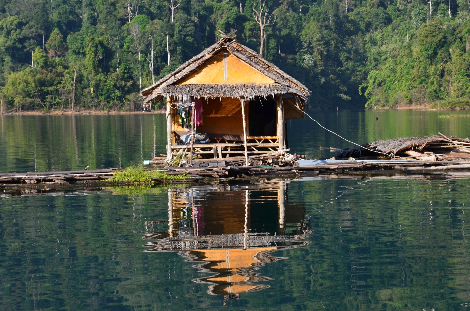 Nikon D7000 sample photo. Body of water, wood photography