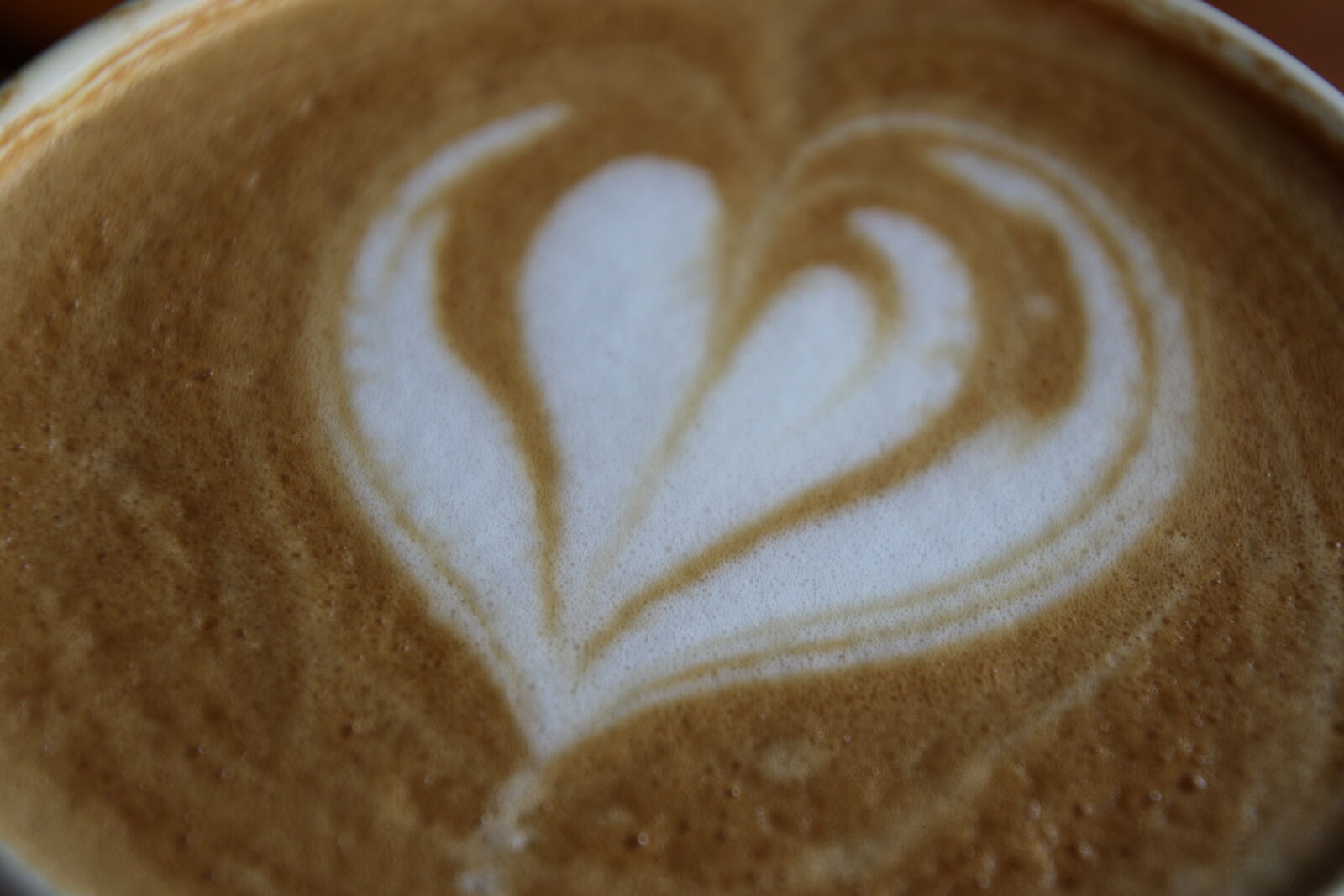 Canon EOS 7D Mark II sample photo. Coffee, coffee, break, drink photography