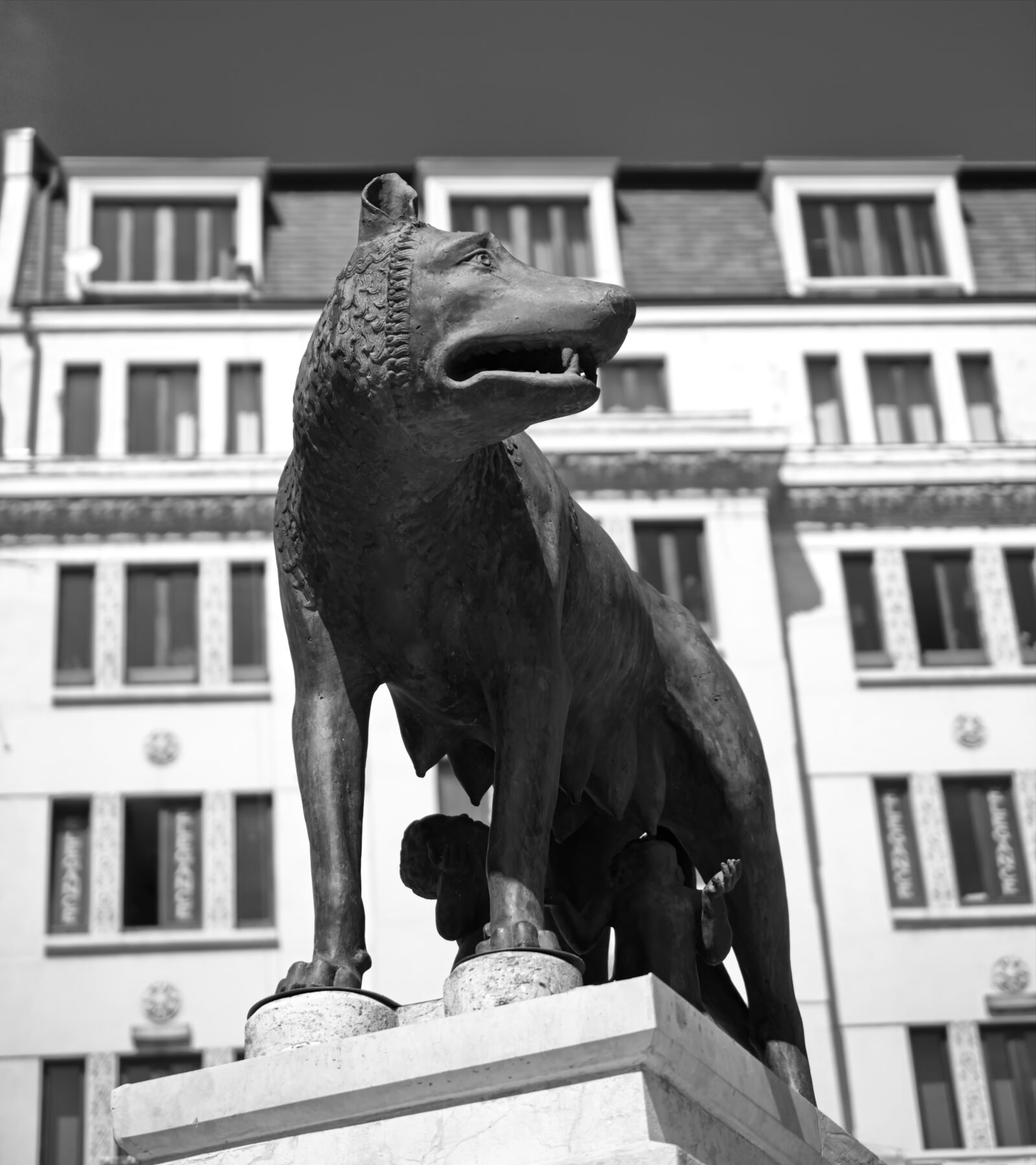 Nikon D5300 sample photo. Statue, too, pet photography