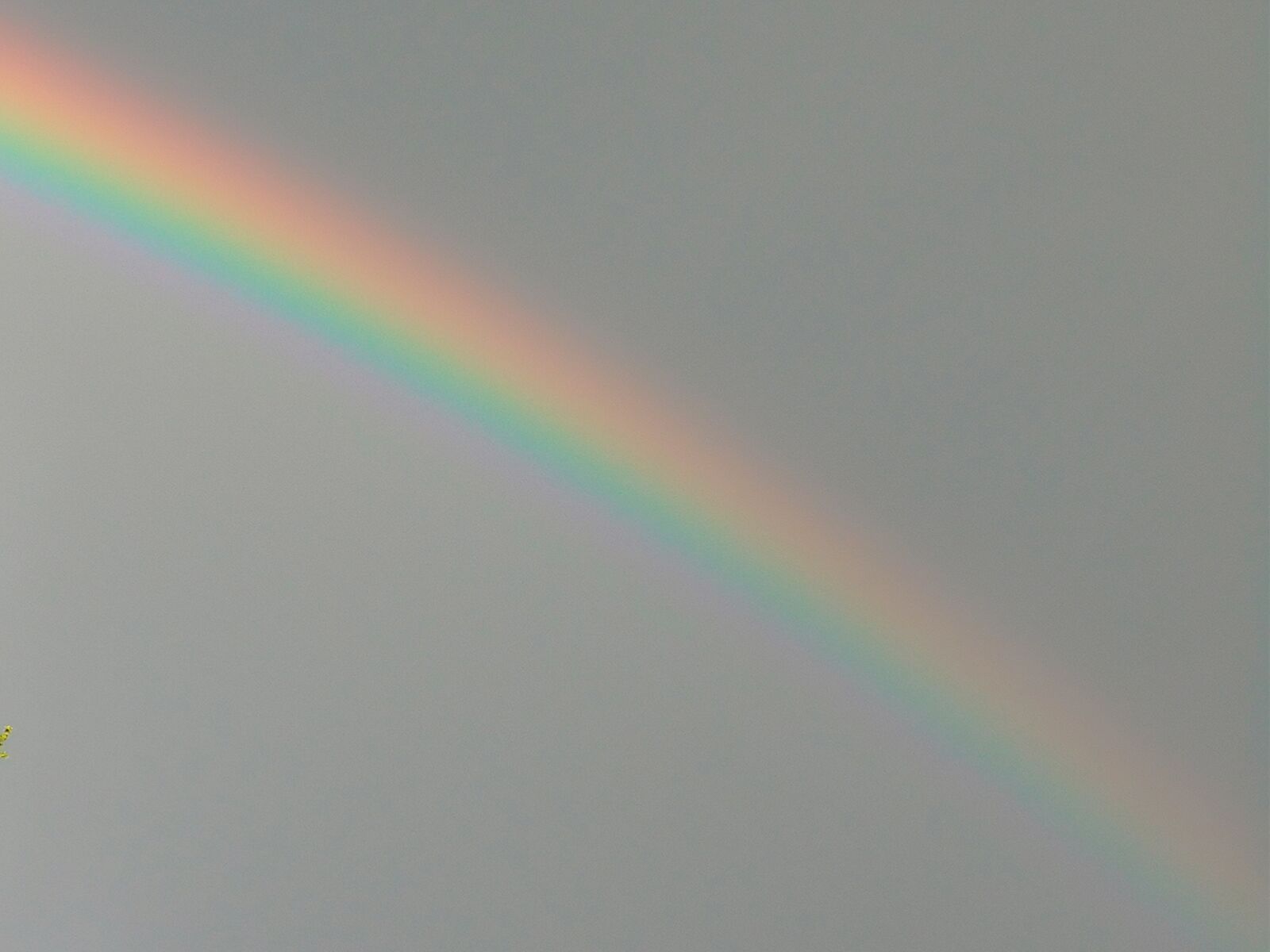 Nikon Coolpix P610 sample photo. Gay, pride, lgbt photography
