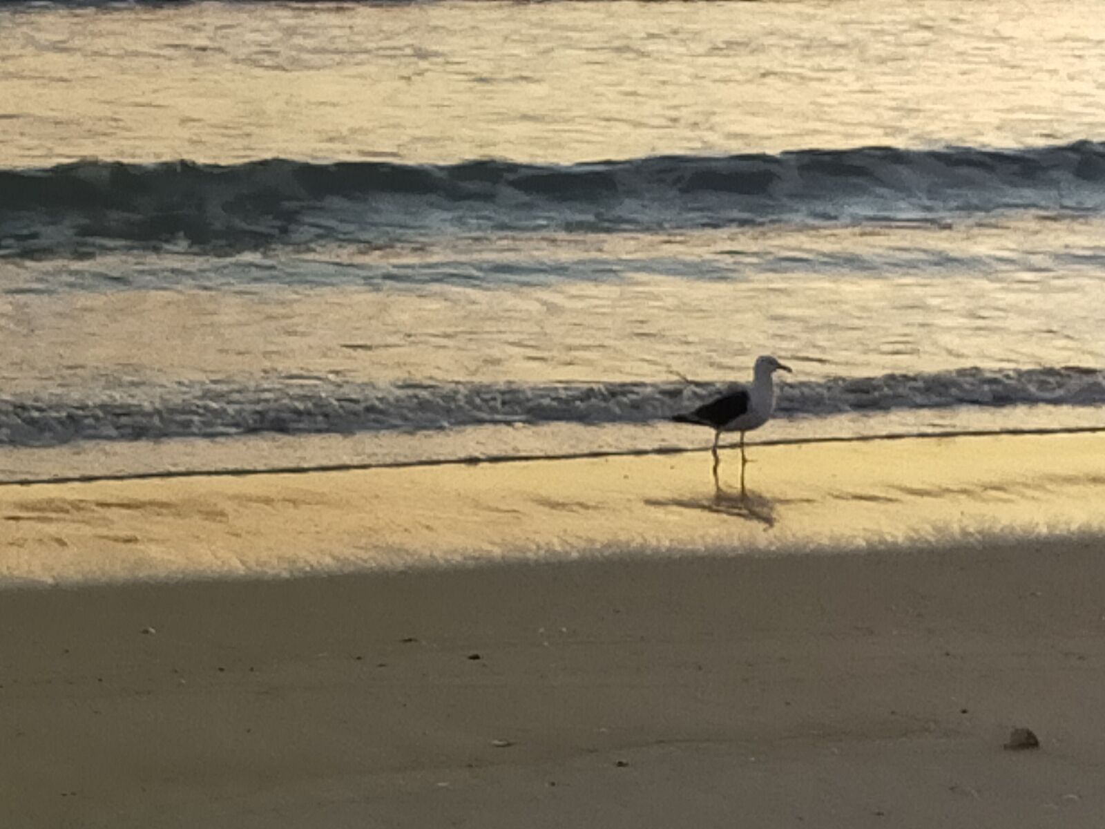 OPPO A9 2020 sample photo. Sea, beach, coast photography