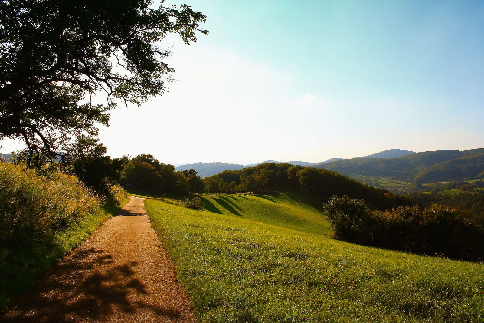 Canon EOS 1000D (EOS Digital Rebel XS / EOS Kiss F) sample photo. Nature, landscape, reported photography