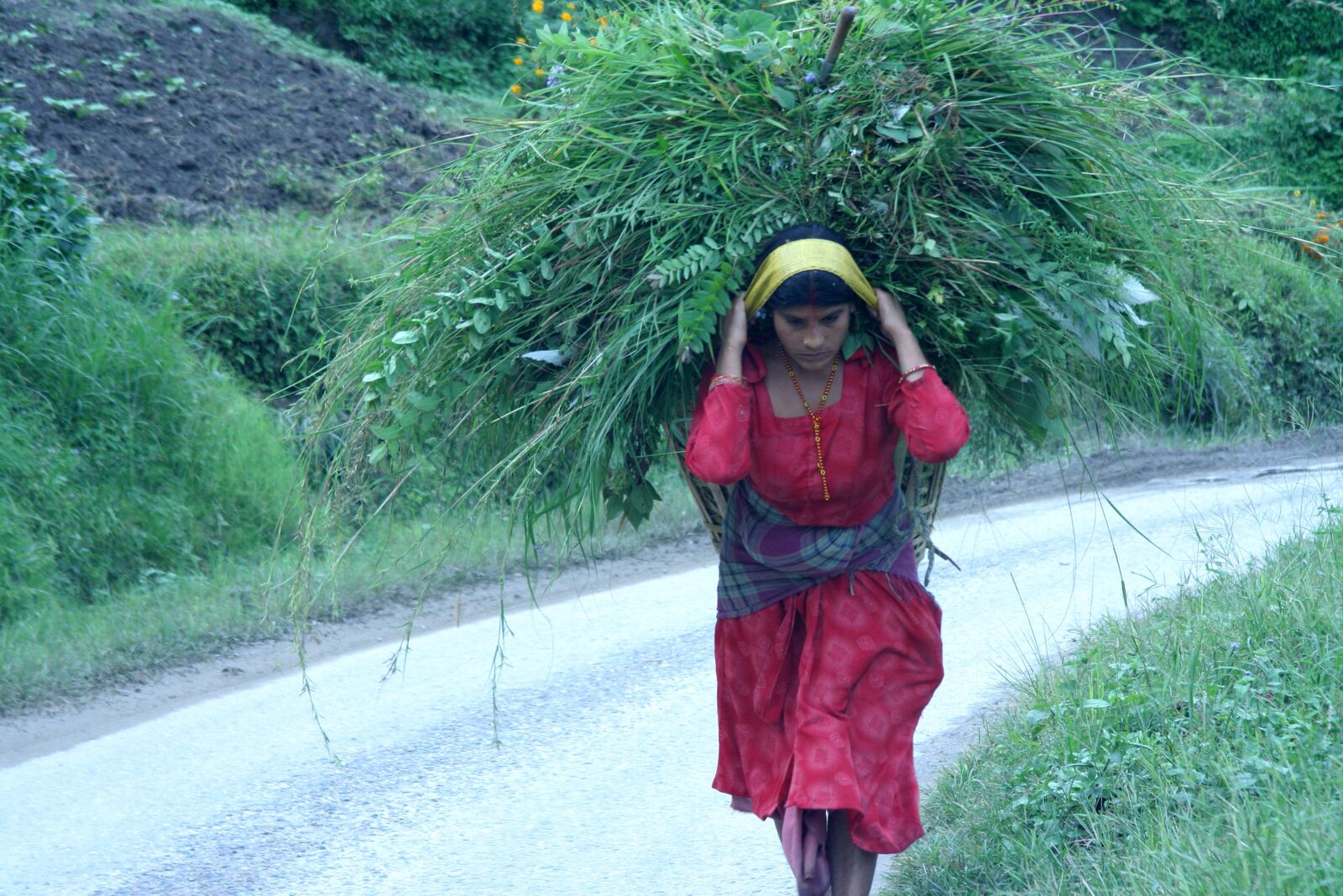 Canon EOS 350D (EOS Digital Rebel XT / EOS Kiss Digital N) sample photo. Young woman, carrying, collection photography
