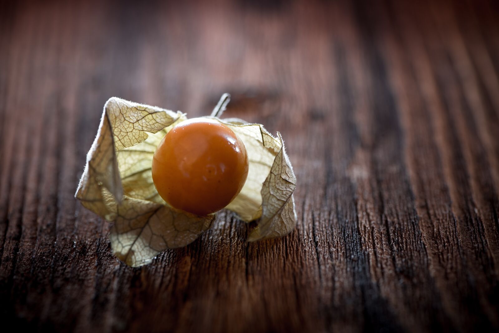 Nikon D750 sample photo. Physalis, physalis peruviana, cape photography