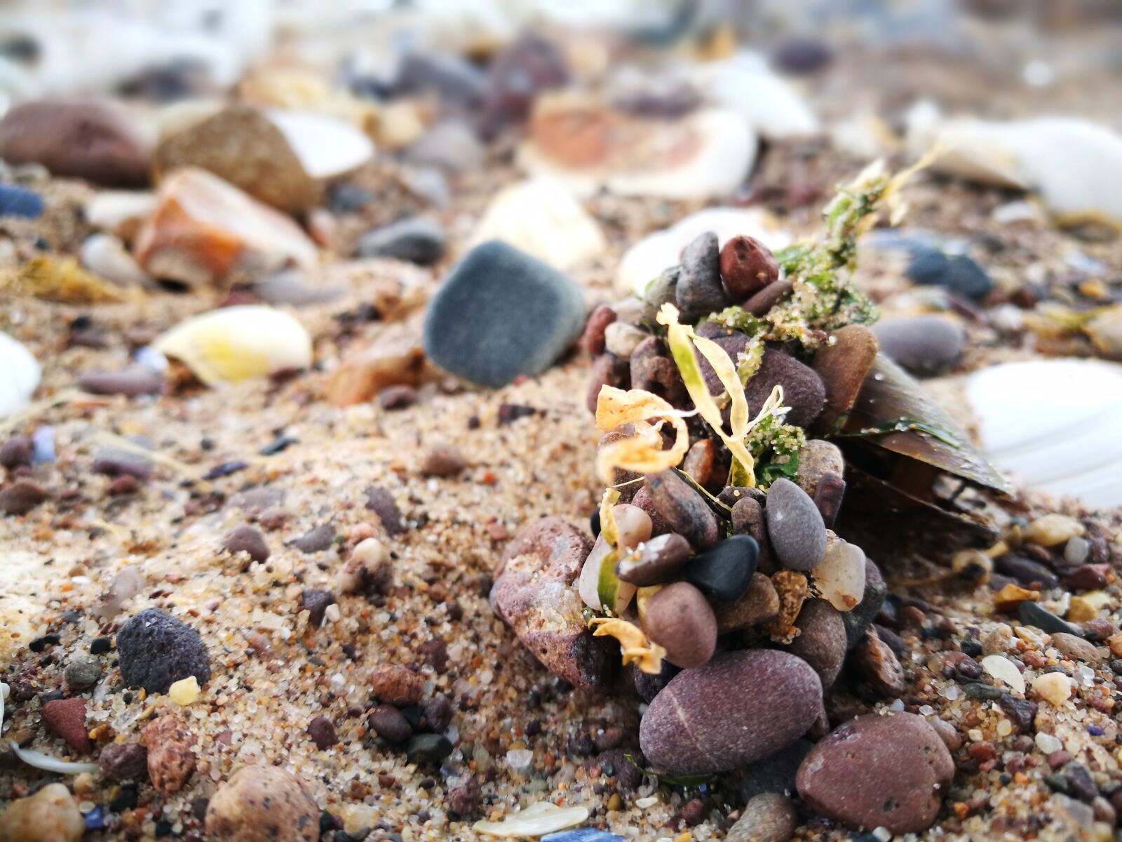 HUAWEI P9 sample photo. Beach, pebble, beach, pebbles photography