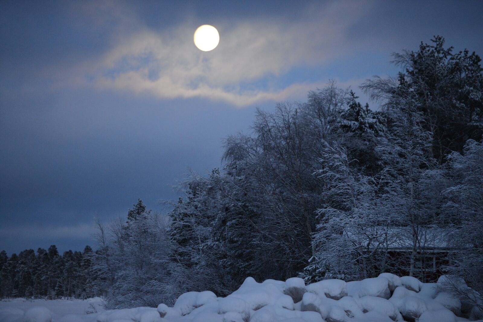 Nikon D800E sample photo. Full moon, winter, snow photography