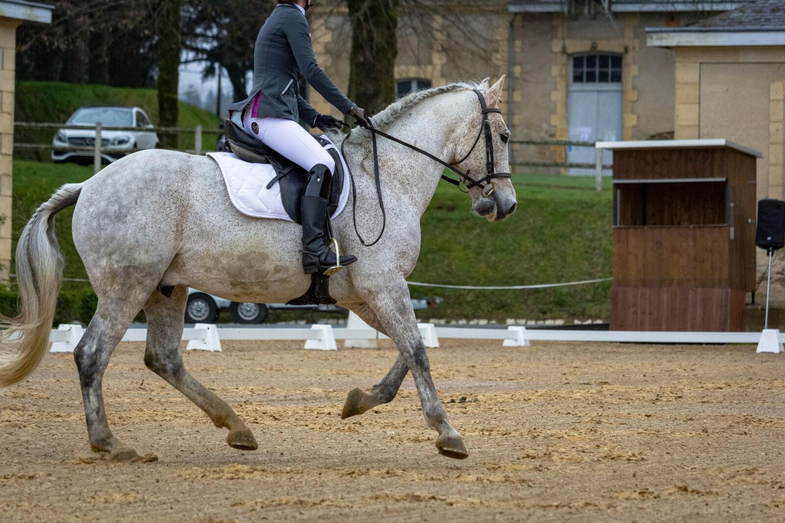 Canon EF-S 55-250mm F4-5.6 IS STM sample photo. Horse, horses, dressage photography