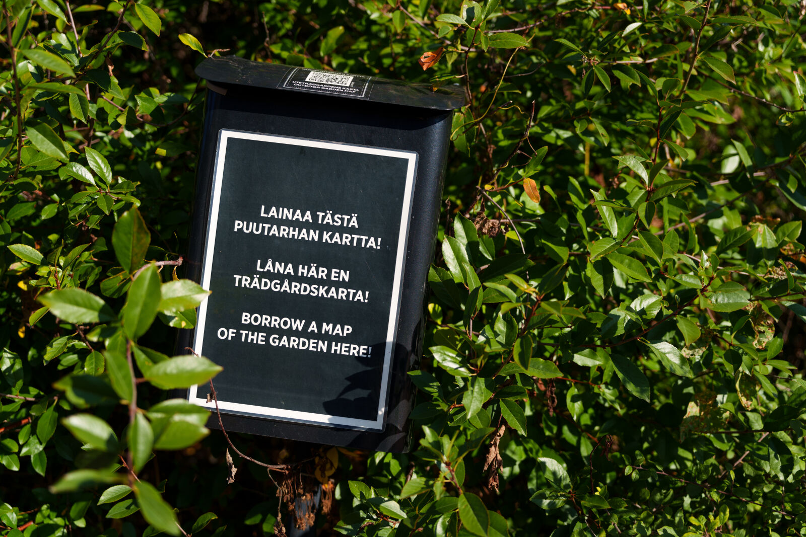 Sigma 28-105mm F2.8 DG DN | Art sample photo. Borrow map here photography