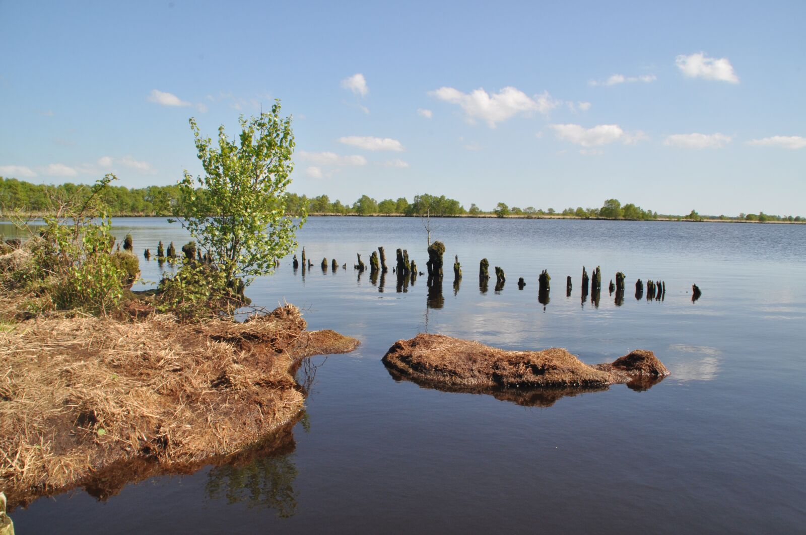 Nikon D5000 sample photo. Eternal sea, moor, moorland photography
