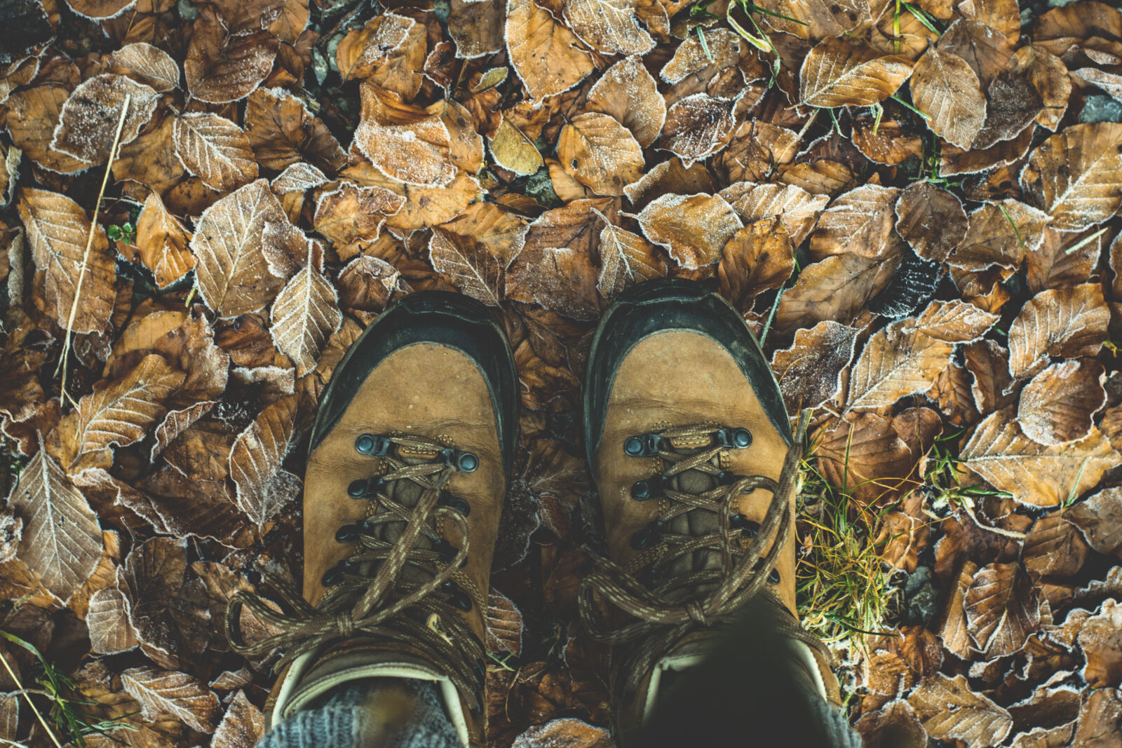 Nikon D5300 sample photo. Low, section, of, man photography