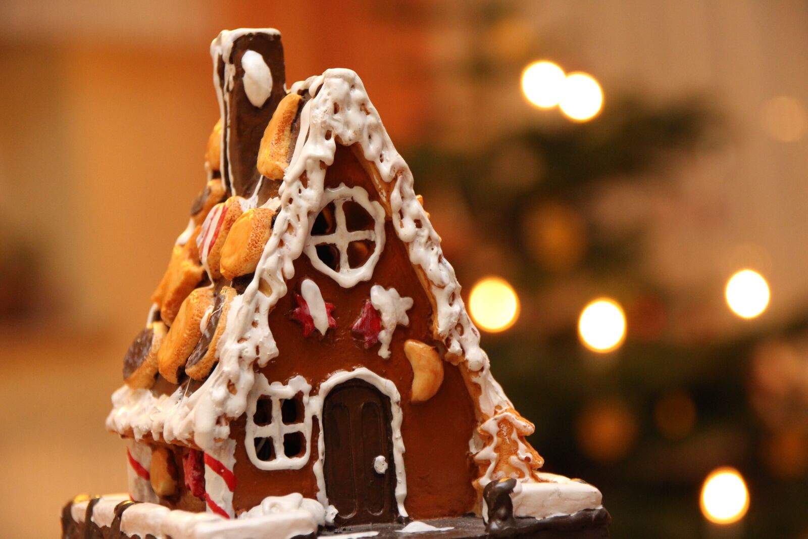 Canon EOS 650D (EOS Rebel T4i / EOS Kiss X6i) sample photo. Christmas celebration, christmas, gingerbread photography