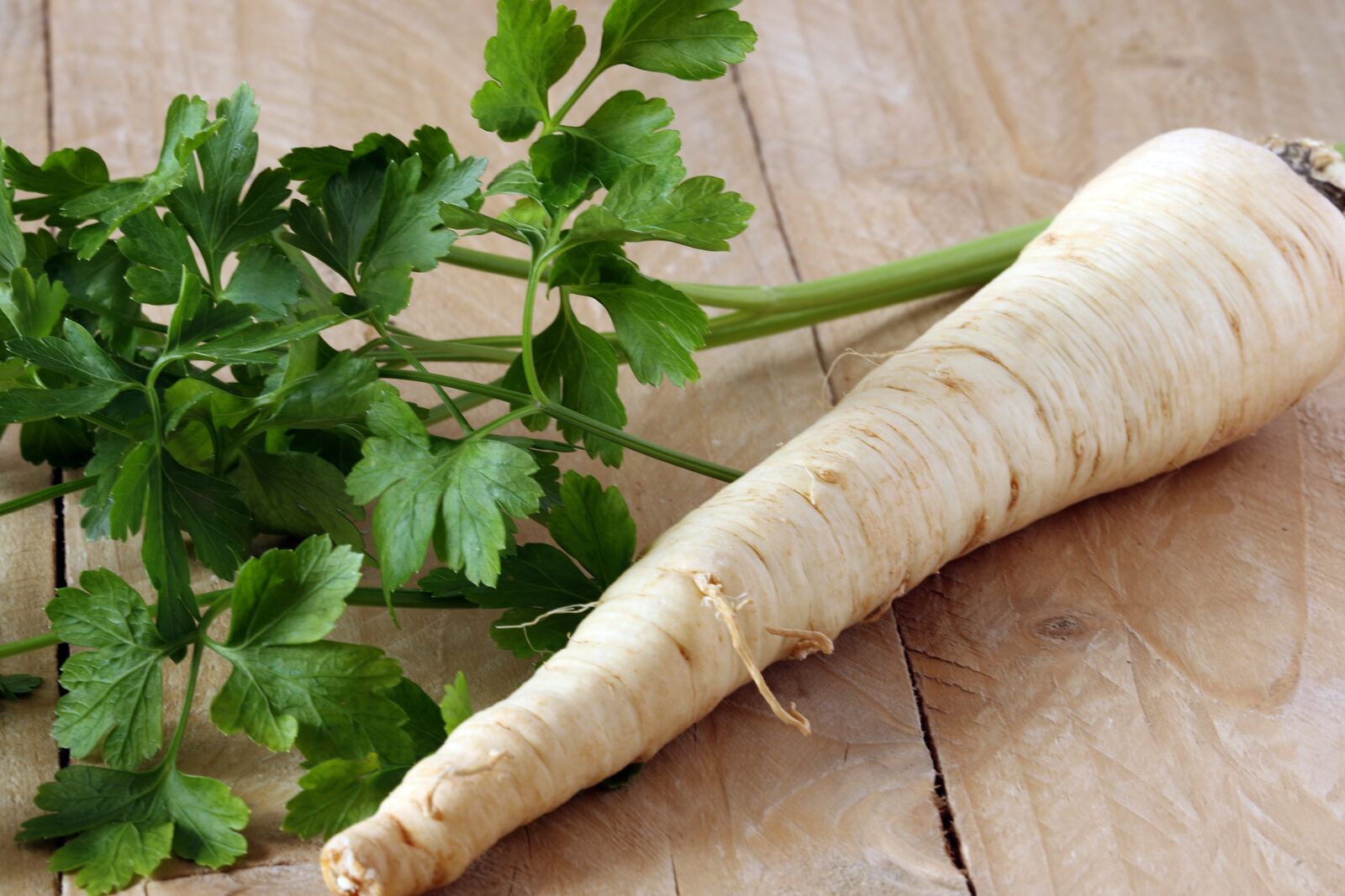 Canon EOS 7D Mark II sample photo. Parsley, leaves, root photography