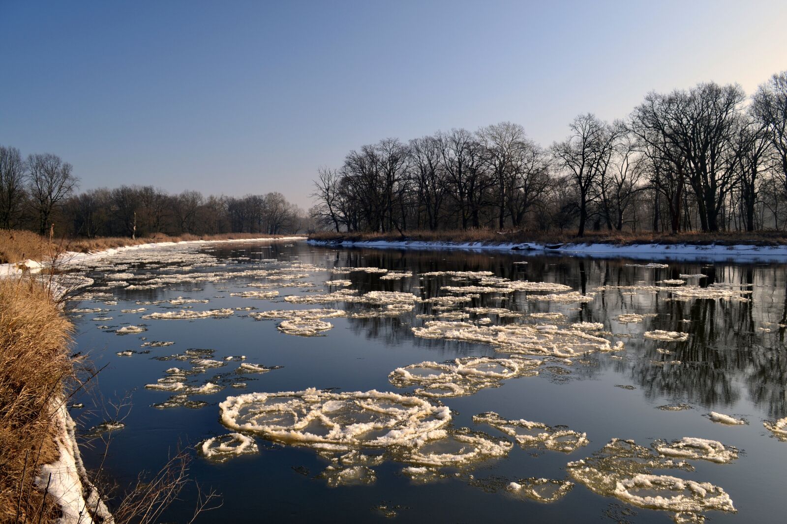 Nikon D3100 sample photo. Winter, river, poland photography