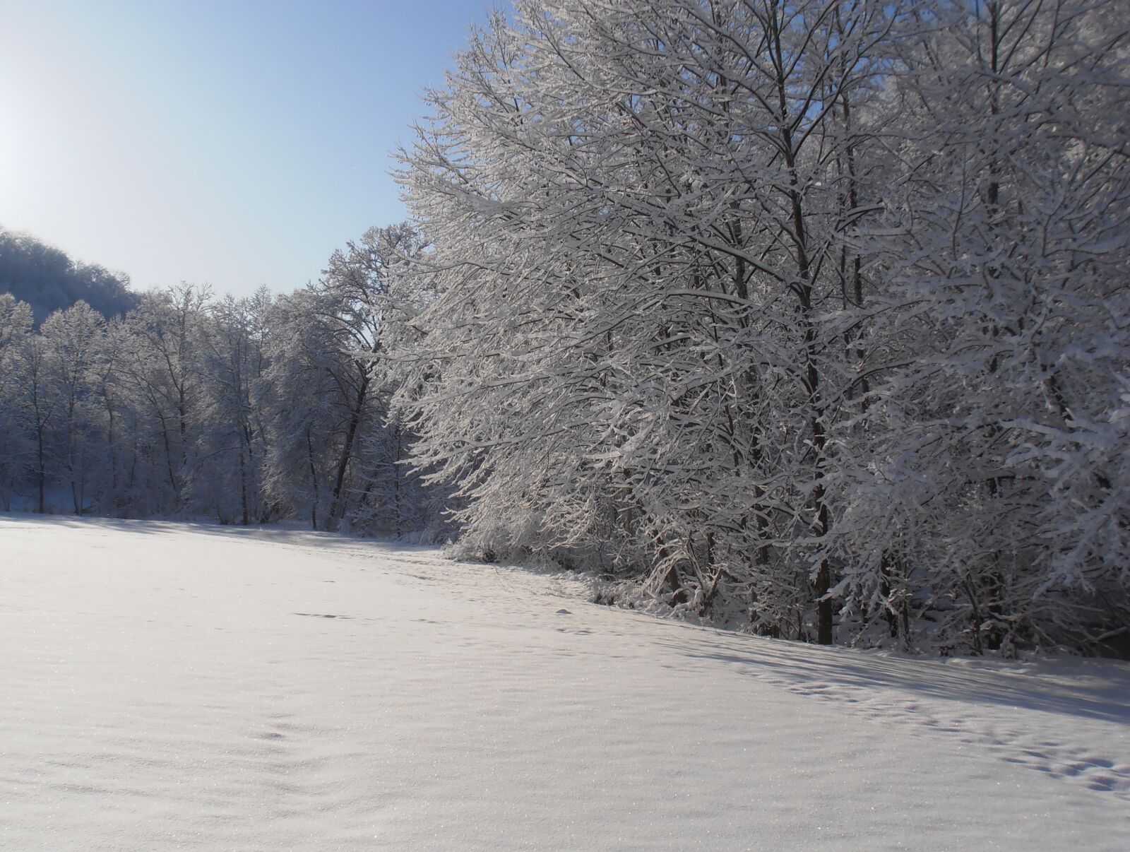 Olympus VR320,D725 sample photo. Snow, morning, winter photography