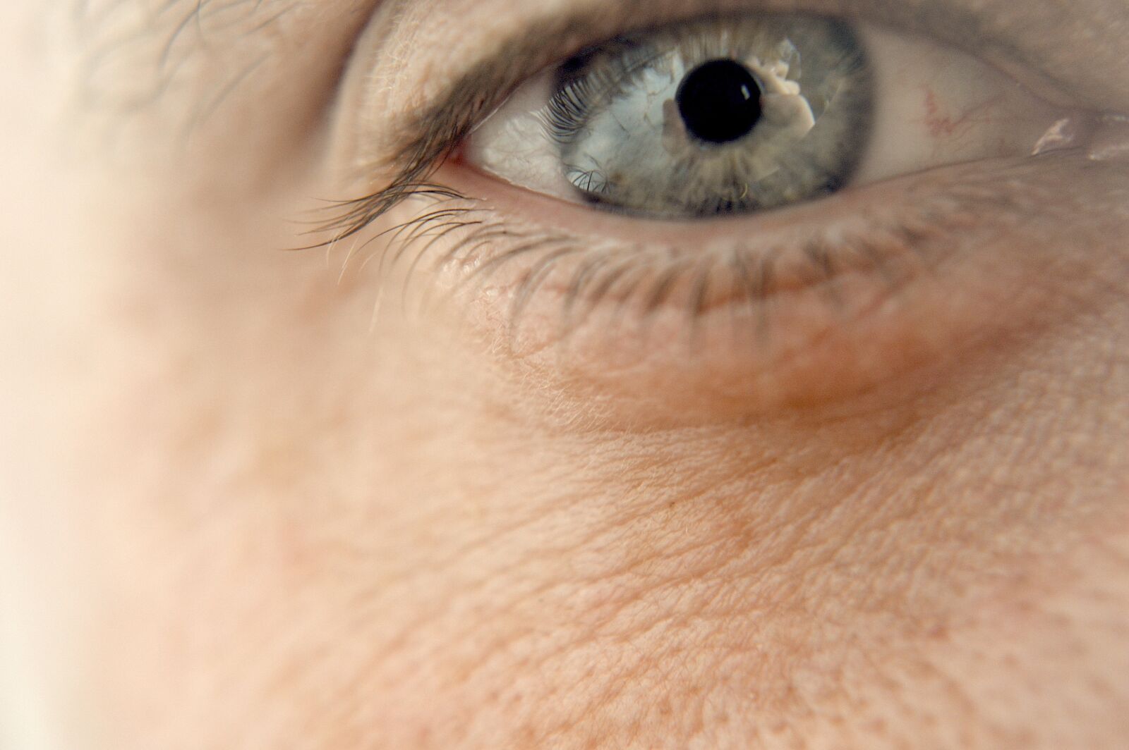 Nikon D3200 sample photo. Eye, zoom, look photography