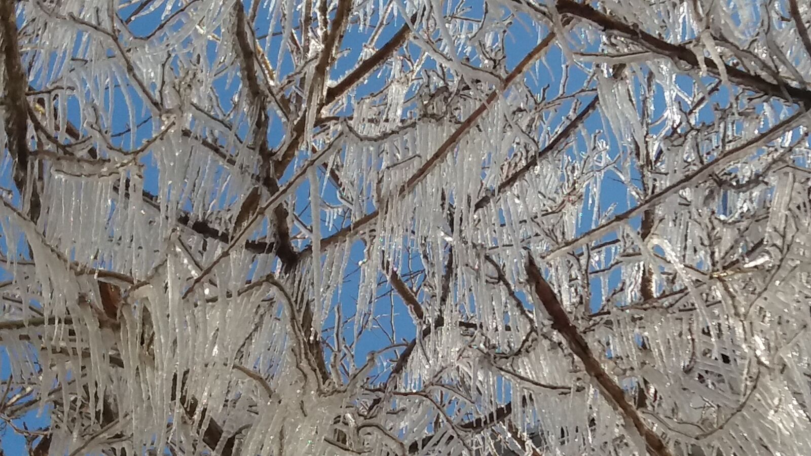 Samsung Galaxy J5 sample photo. Ice, skg, stalactite, tree photography