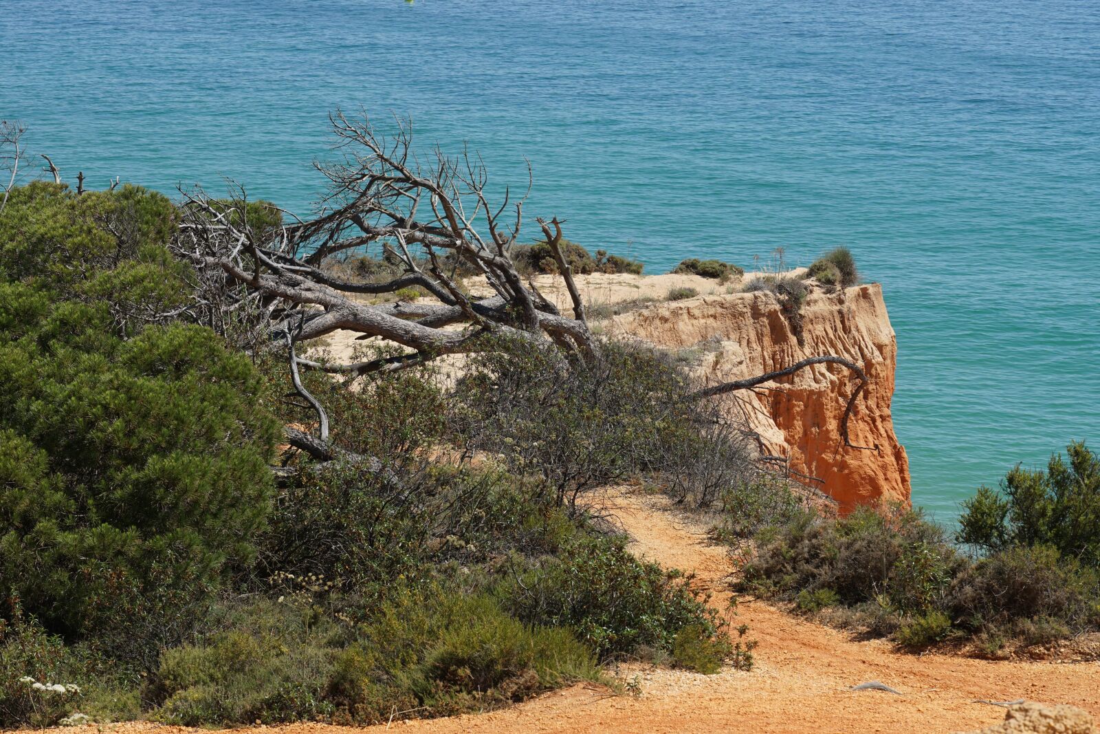Sony E 18-135mm F3.5-5.6 OSS sample photo. Algarve, coast, fallen tree photography