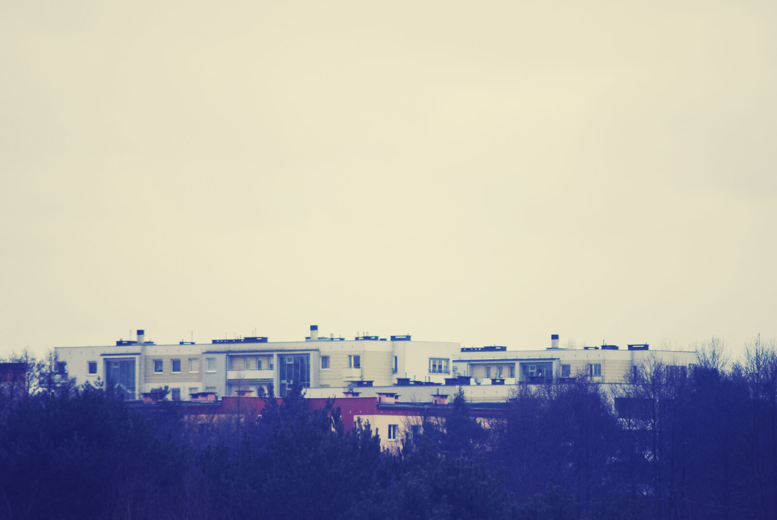 Nikon D60 sample photo. Blocks, flats, landscape, trees photography