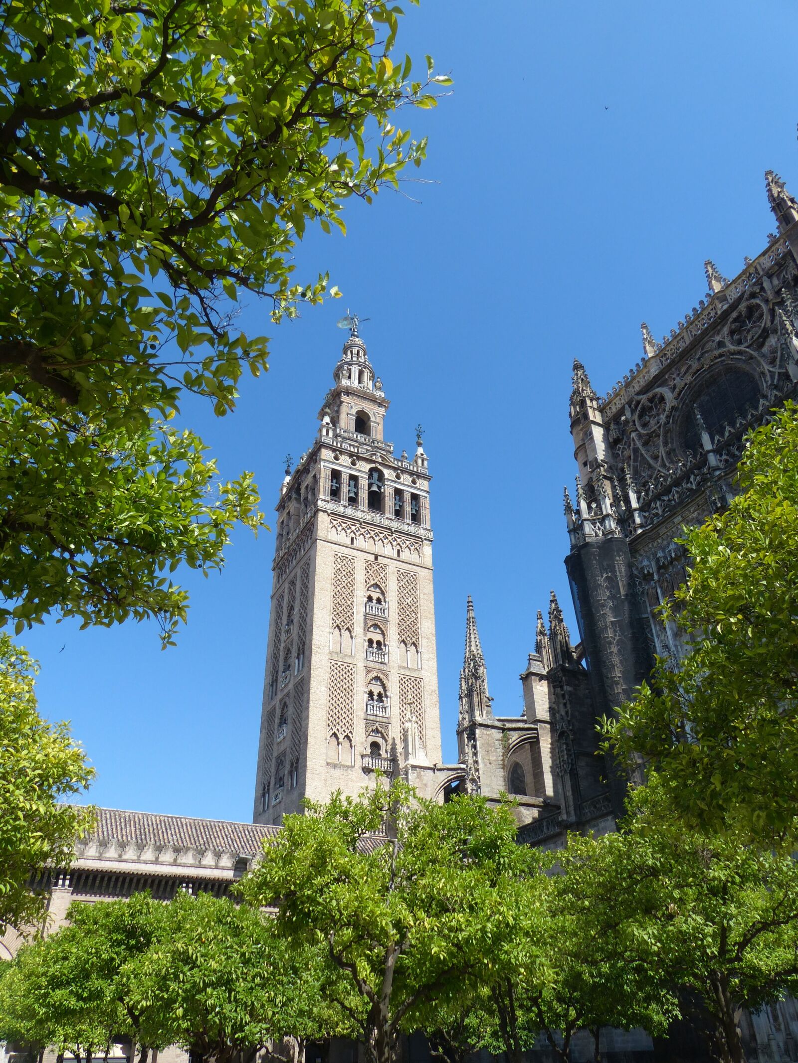 Panasonic Lumix DMC-FZ200 sample photo. Cathedral, la giralda, plaza photography