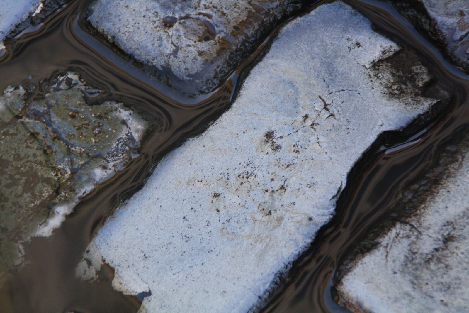 Canon EOS 1000D (EOS Digital Rebel XS / EOS Kiss F) sample photo. Street, stone, pavement photography