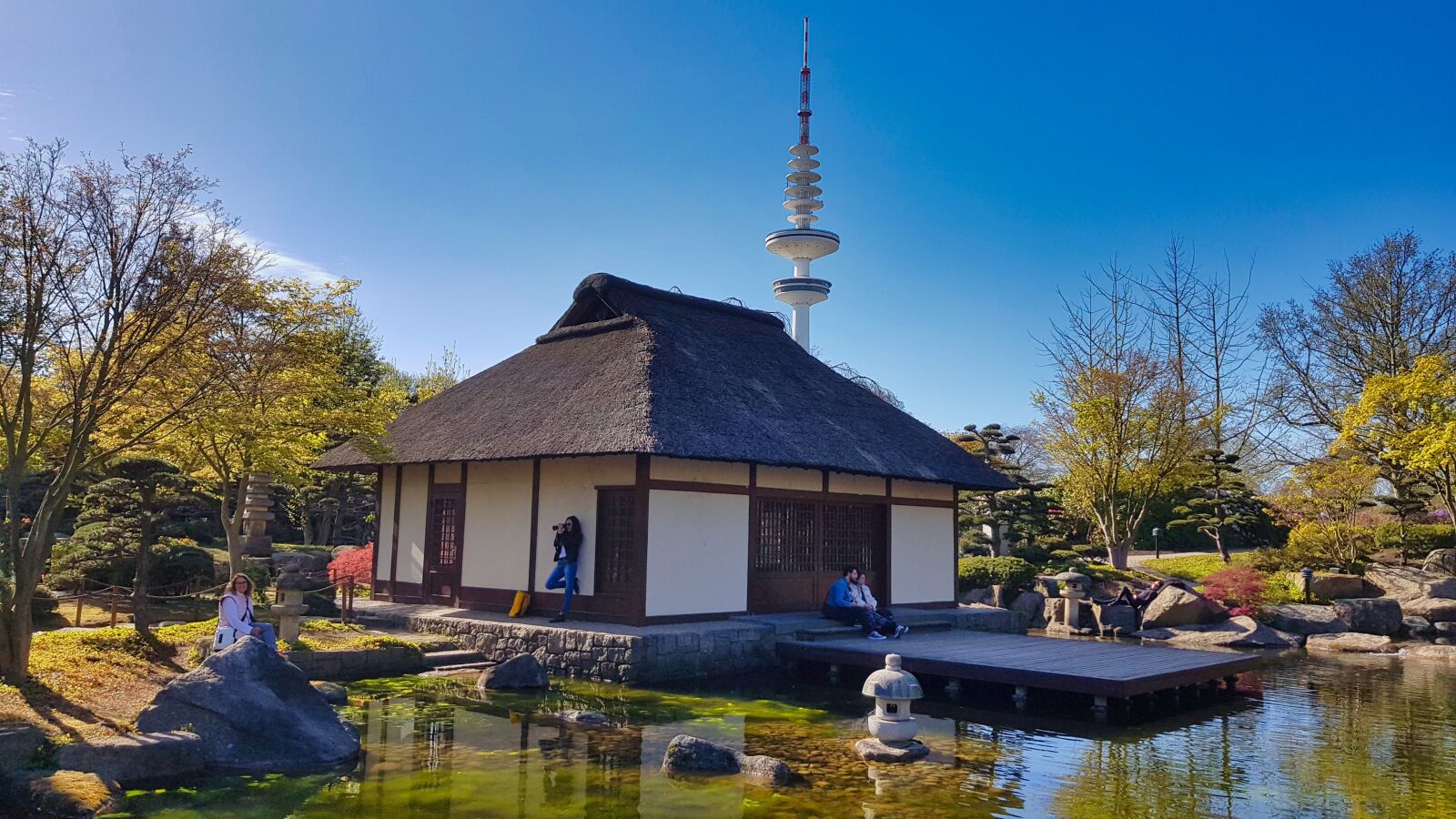 Samsung Galaxy S8+ sample photo. Hamburg, plantenunblomen, japanese tea photography