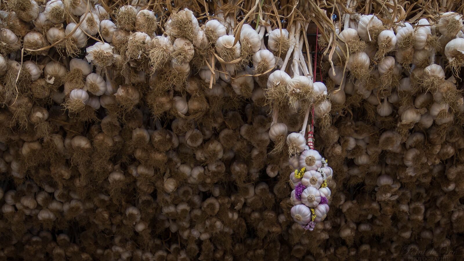 Nikon D7200 sample photo. Pink garlic, lautrec, tarn photography
