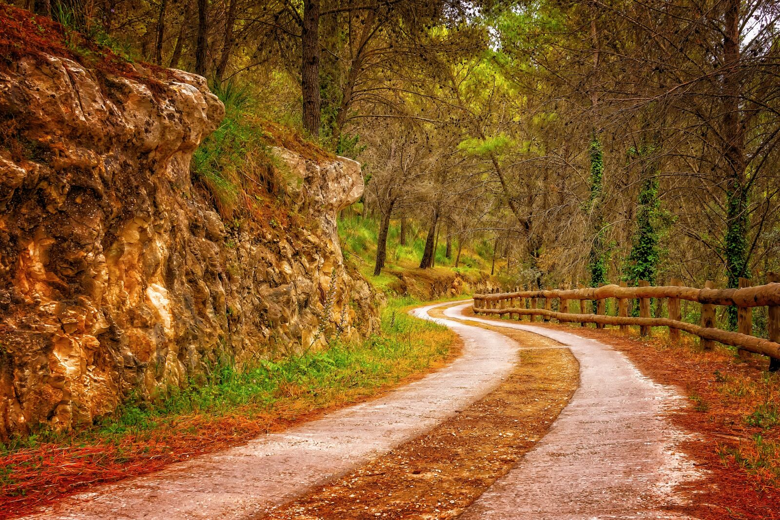 Nikon D3300 sample photo. Away, path, curve photography
