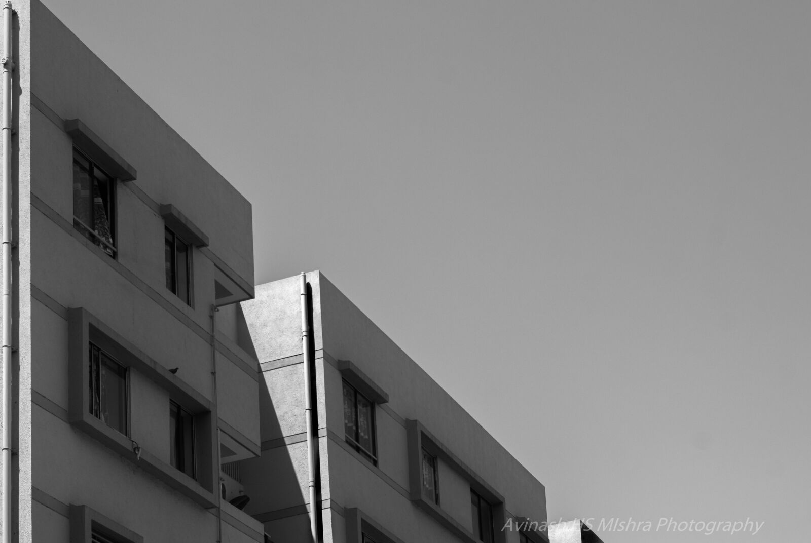 Nikon D5200 sample photo. Black and white photography photography