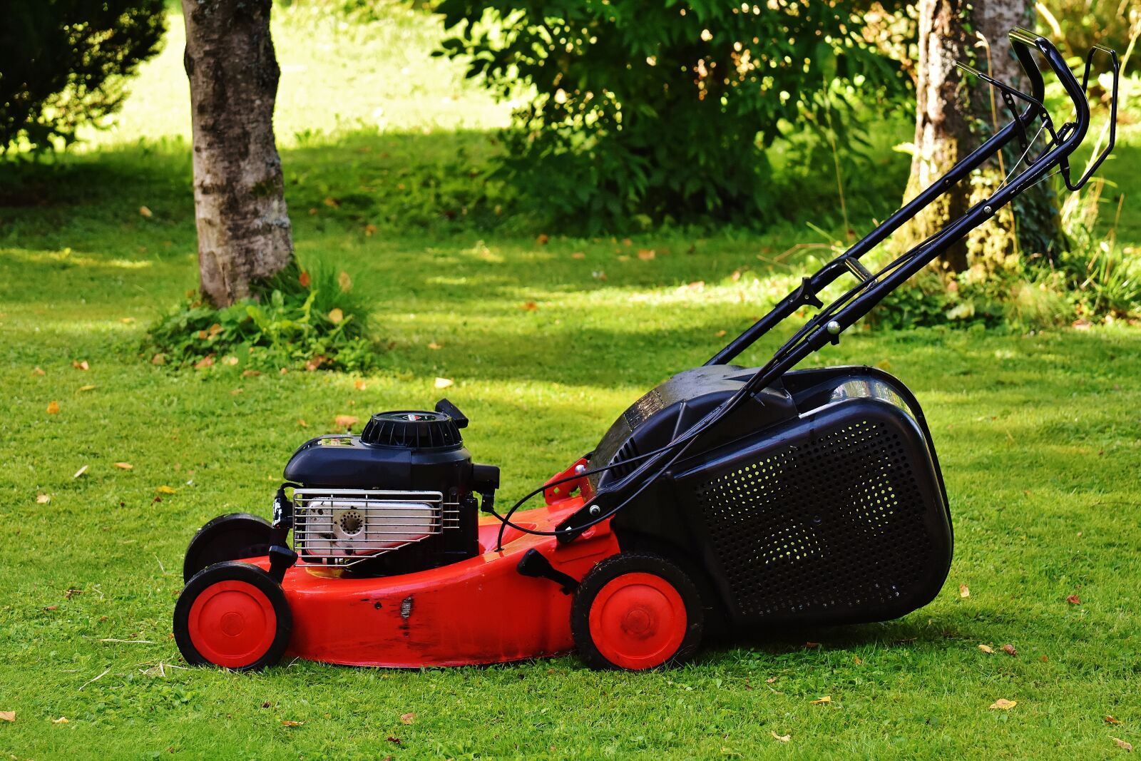 Nikon D7200 sample photo. Lawn mower, gardening, mow photography