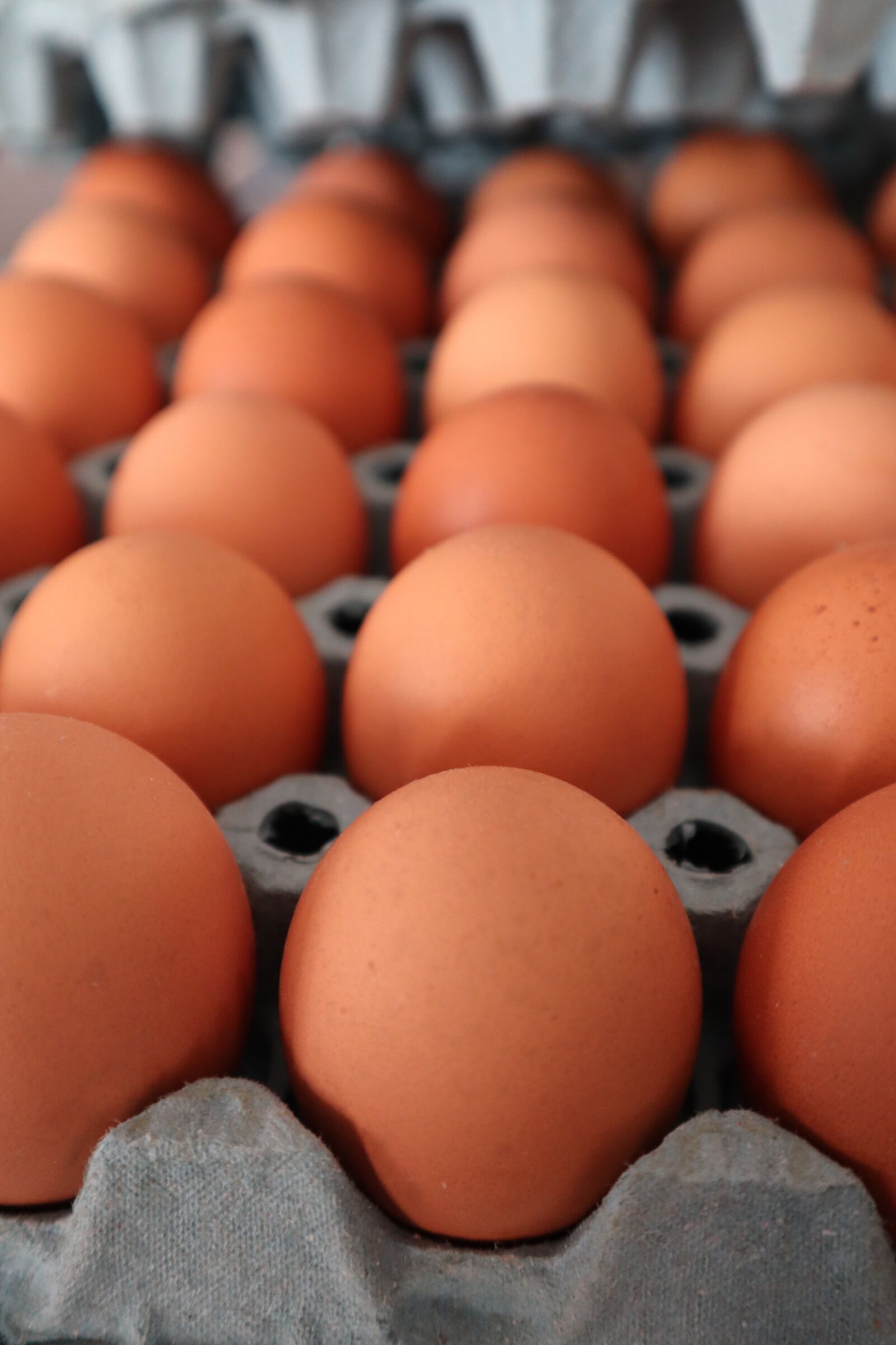 Canon EOS M50 (EOS Kiss M) sample photo. Egg, egg cup, paperboard photography