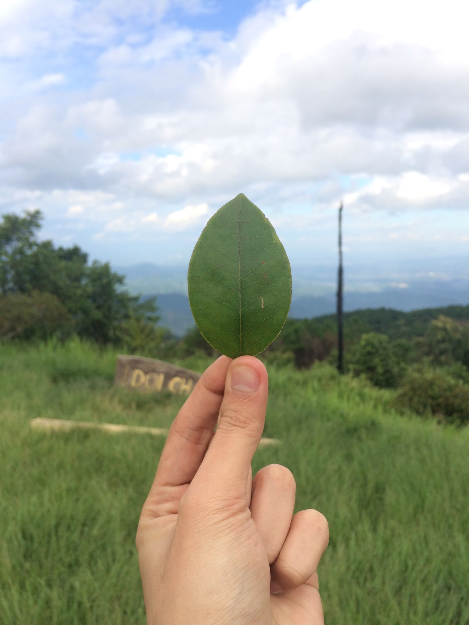 iPhone 5s back camera 4.15mm f/2.2 sample photo. Autumn leaves, view, hands photography