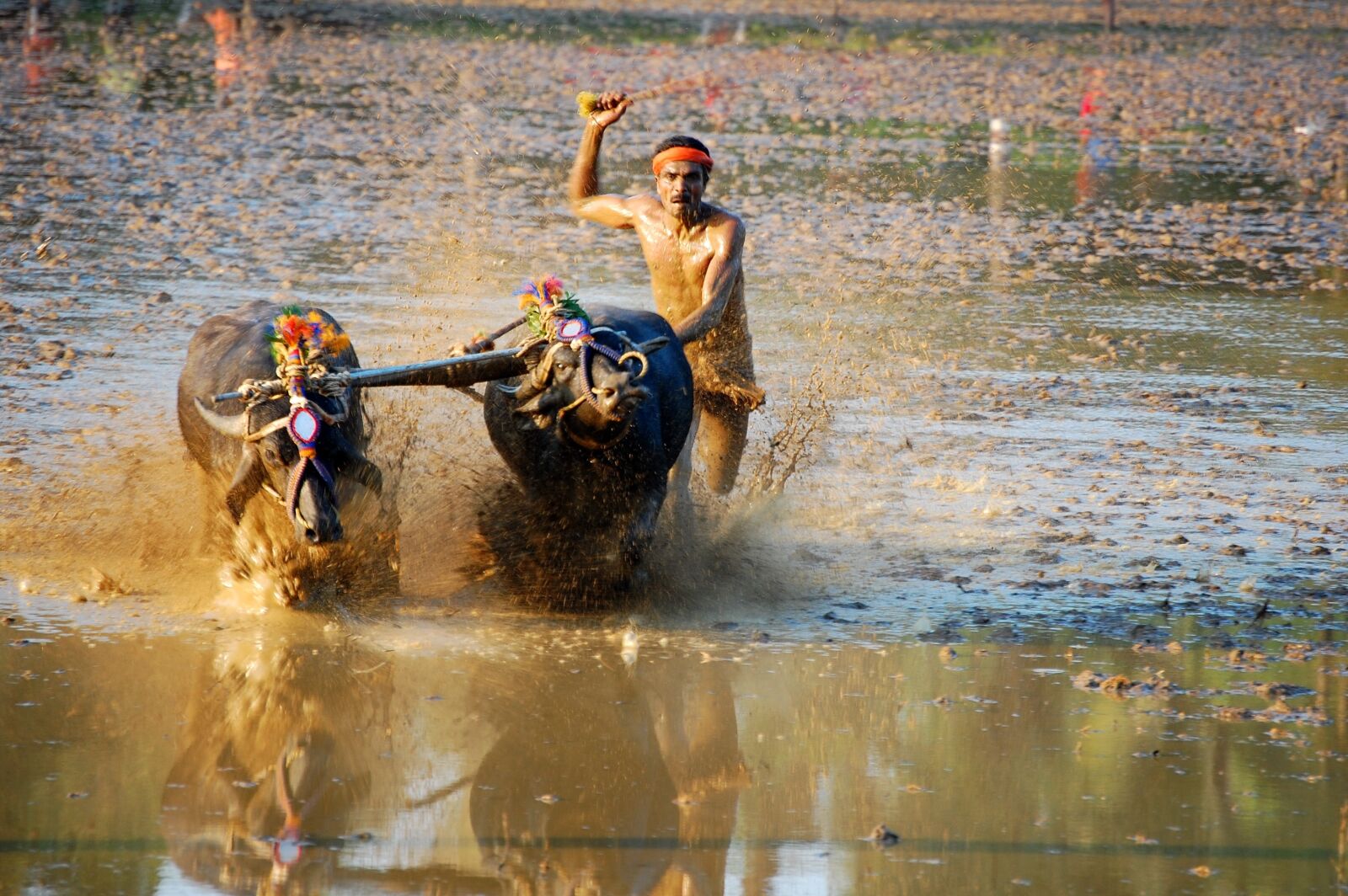 Nikon D40 sample photo. Kambala race, rural sports photography