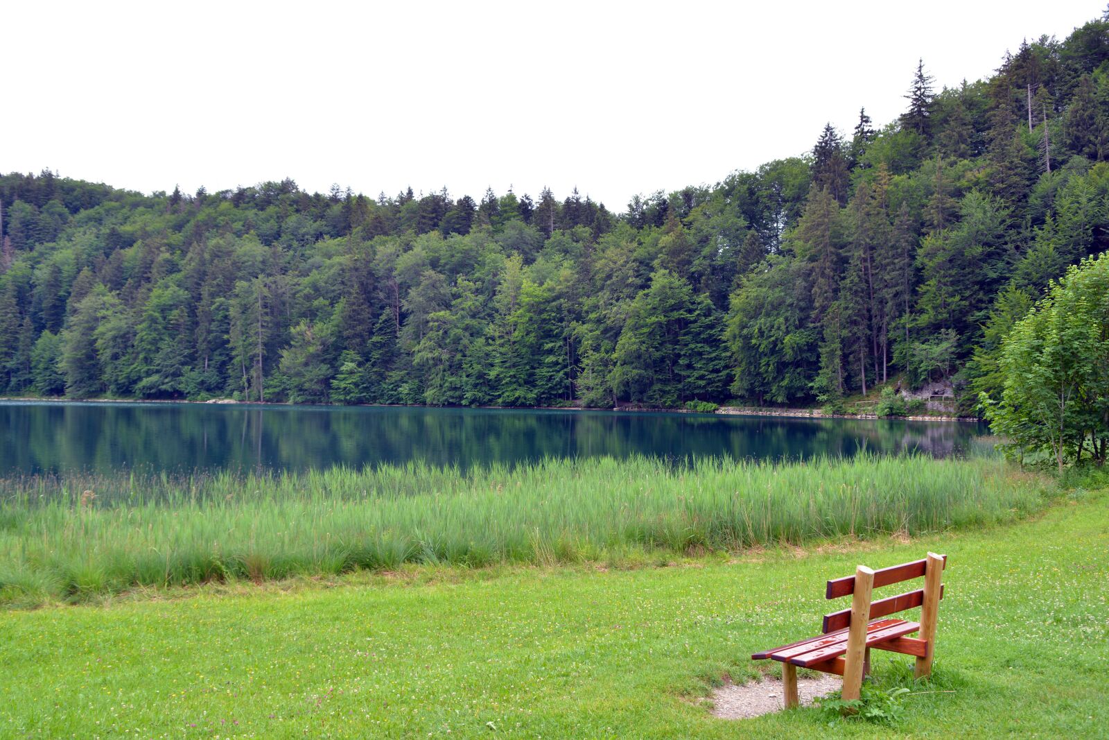 Nikon D5200 sample photo. Water, alatsee, allgäu photography