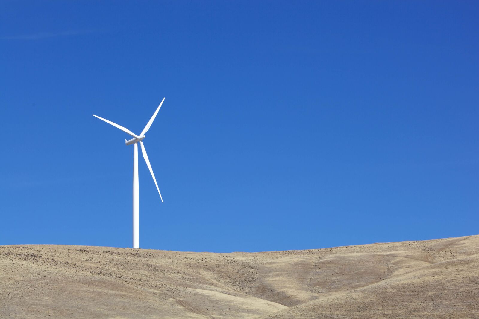 Canon EOS 5D Mark II sample photo. One, white, wind turbine photography