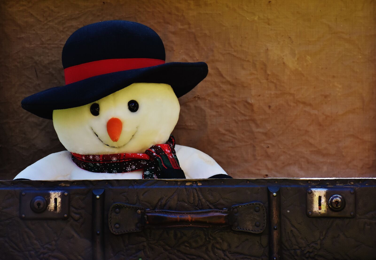Nikon D7200 sample photo. Winter ade, snowman, send photography