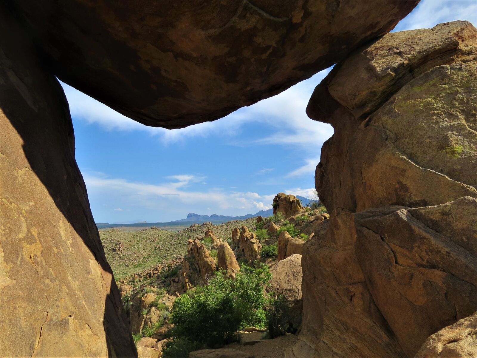 Canon PowerShot SX50 HS sample photo. Desert, big bend, wilderness photography