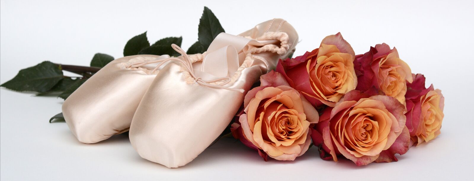 Nikon D7100 sample photo. Ballet shoes, dance, roses photography